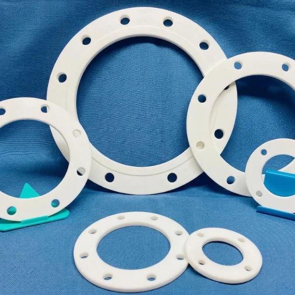 Full Face PTFE Gasket