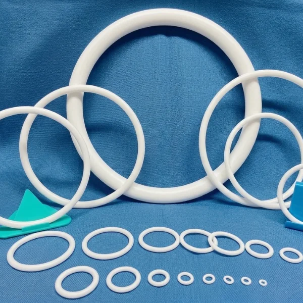 PTFE O-Ring