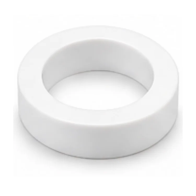 PTFE Valve Seat